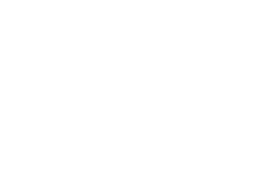 Naoki Logo - return to home page